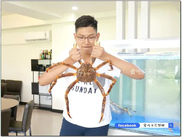 ​​​​【宜蘭/美食】宜蘭首家活體帝王蟹！現捉現殺雙吃無敵爆新鮮！帝王蟹火鍋/烤蟹腳~便宜價位頂級享用！川淼帝王蟹海鮮鍋物