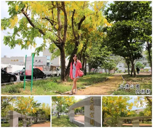 【台南北區景點】立德公園~社區公園也能遇見滿滿黃金阿勃勒        
      