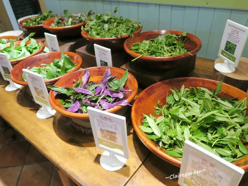 [食/桃園]歡樂夢想國 百食繪~五行鍋&動手採菇樂-素食百樣美味吃到飽