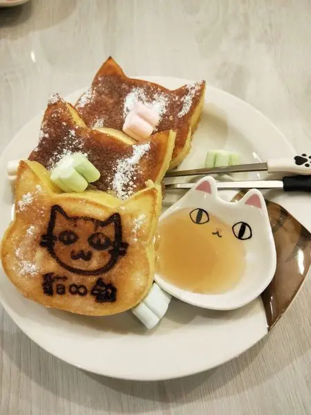 【板橋_美食Food】超親人貓咪餐廳_貓欸Camulet _貓奴的天堂