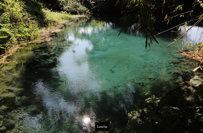 Lasoay 拉索埃湧泉生態園區：原住民族阿美族的千年神鳥報恩美麗傳說「天然自然的遊樂區」（花蓮秘境）