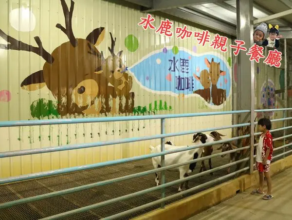 宜蘭親子景點||2017搬家後的水鹿咖啡親子餐廳更舒適了。餵水鹿 小白兔 還有公園般的遊戲場!