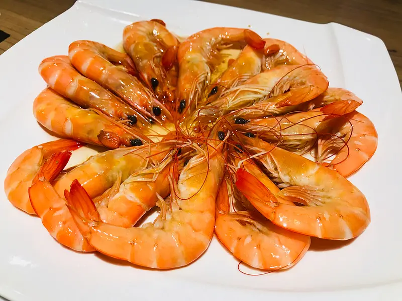 [台北] 中山國小捷運~易鼎活蝦~蝦界的霸主