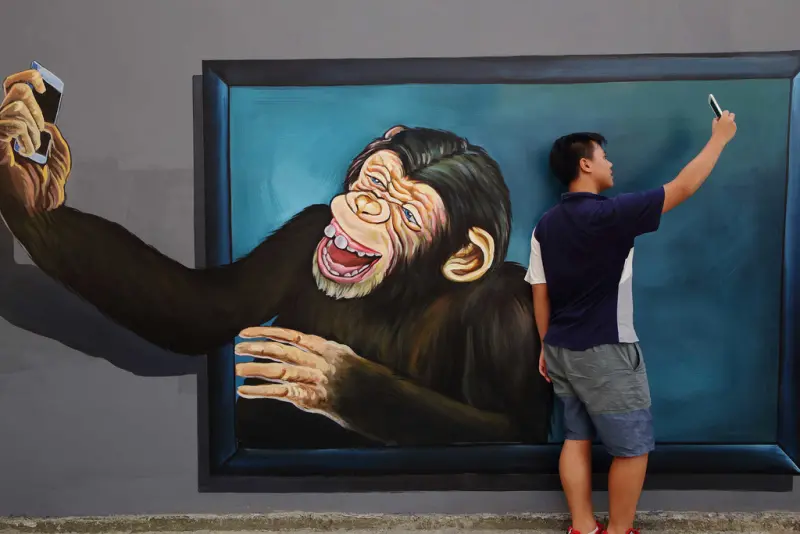 【遊。板橋】板橋新亮點！萬板橋下3D彩繪牆VS蝴蝶公園地景花海，地景藝術打卡必遊！