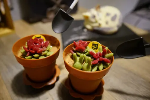 台北｜黑邦廚房 多肉植物可以吃?! 連貓咪也吃下肚，三重超可愛創意甜點！ - 奇奇一起玩樂趣