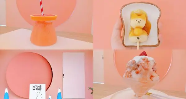 楊梅│WakeWake 醒醒工作室☞讓人少女心噴發的可愛網美店，還不快手刀預約!/超可愛柴犬糰子/創意旋轉門/裝置藝術