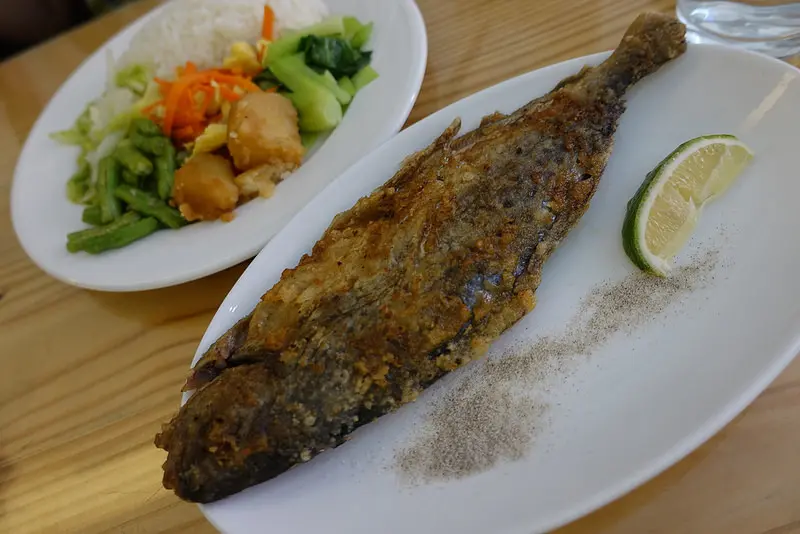 (胖樺食記)中和區四號公園「歐香咖啡」/超大條煎魚套餐/新北推薦餐廳/五菜一湯有水果飲料雞腿牛排飯