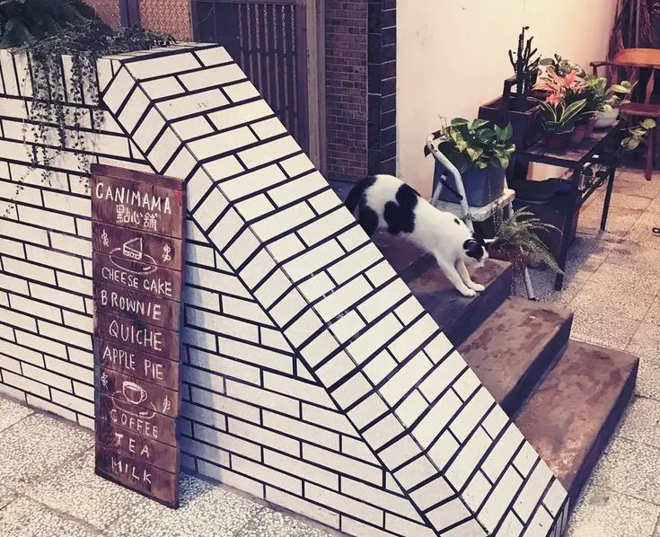 【 新北 中和 】Canimama 點心舖。週末限定甜甜好好吃