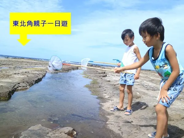 東北角旅遊景點||壯麗的海蝕平台。全台最長的綠地毯海岸線~馬崗潮間帶||東北角親子一日遊!