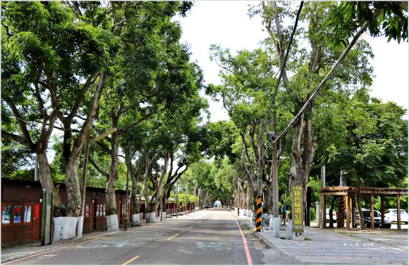 【雲林‧古坑】雲林古坑綠色隧道公園‧假日市集 綠色草坪渡野餐 一個不像隧道的隧道公園