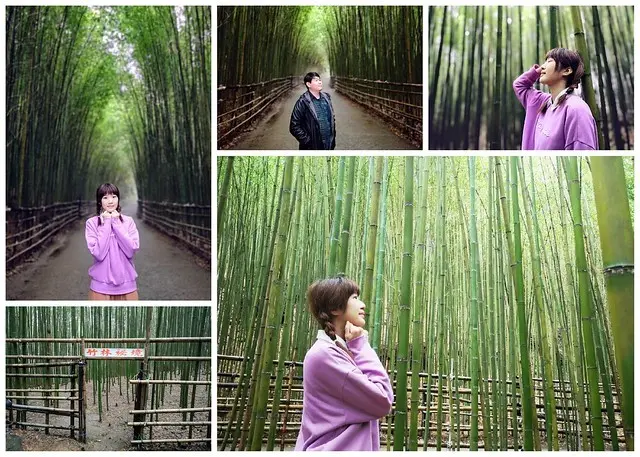 【苗栗景點】泰安竹林秘境(烏嘎彥竹林)，兩側翠綠竹林隧道超好拍，一起來竹林森呼吸吧~