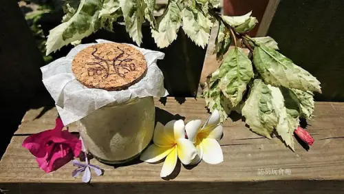 酪印盆栽小奶酪奶味香醇不加水