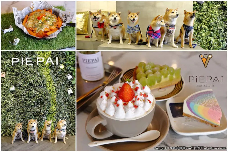 【食。桃園】Piepai Cafe〜好好拍景點餐廳推薦。超美的室內花草植物牆，網美新打卡熱點！彩虹甜點，美到捨不得吃！(寵物友善餐廳)  