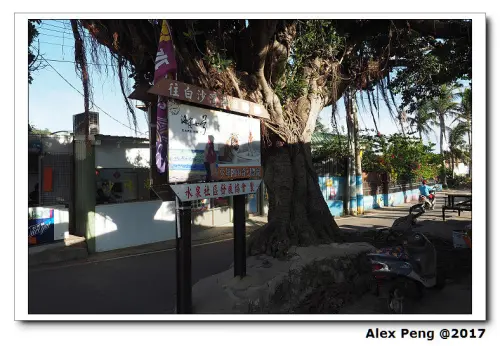 2017 墾丁遊-恆春-墾丁白沙灣+菜多多海鮮