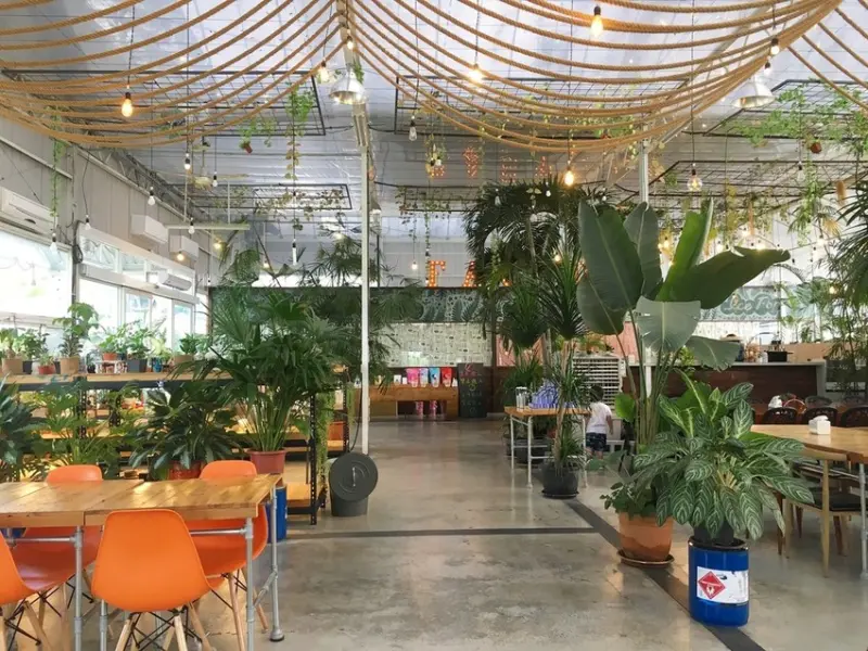 【美食】被花草包圍IG人氣森系早午餐店，山姆派樂悠閒假日早晨享時光享美食