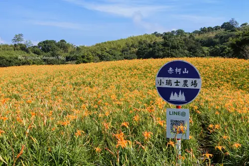 【花蓮縣。玉里鎮】擁抱花海！宛如走入明信片的美畫中@赤柯山(赤科山)
