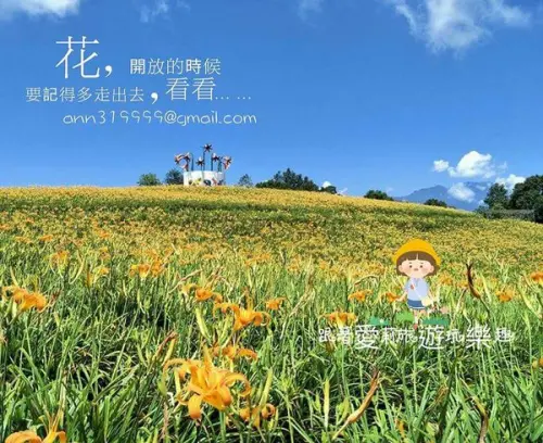 【花東 旅遊】季節限定 2017花東金針花季盛開中│六十石山 赤柯山 台東金針山