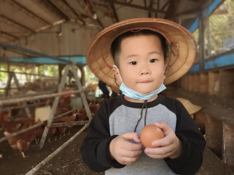 【旅遊】初心旅行農莊何家牧場|孩子回歸最純樸的自然享受田園樂，撿雞蛋、餵雞、聖誕花圈麵包DIY~每月都有不同的主題活動喔，快手刀報名吧!