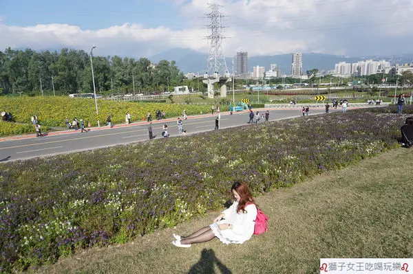 (台北●北投)2017~2018年2月關渡花海節~驚艷關渡花現新大地~台北踏青~親子旅遊的好去處~IG打卡必去景點