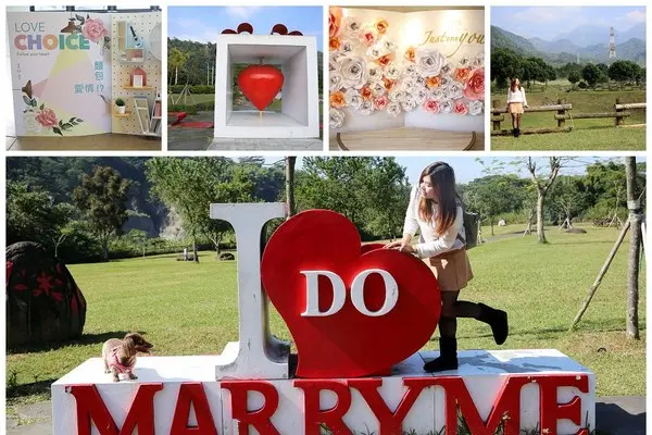 嘉義旺萊山愛情大草原。阿里山18號愛情絲路免費景點好玩又好拍        
      