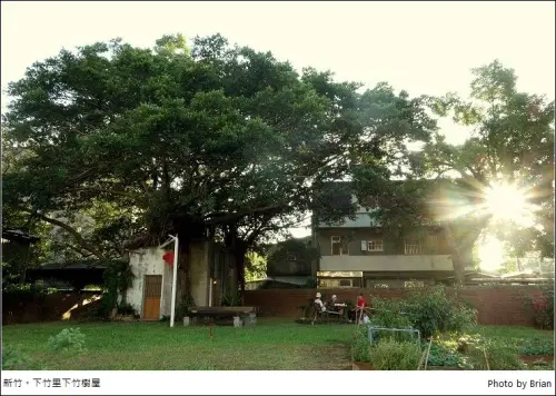 新竹下竹樹屋。新竹後火車站下竹里新景點