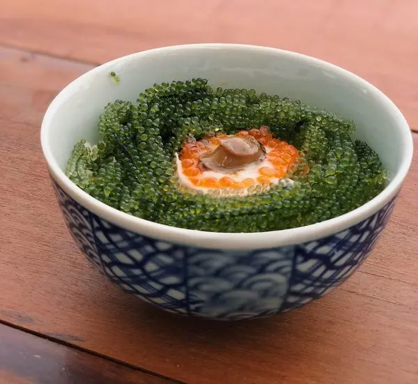 │食記│新北/92K週末食堂-九恩商行✨不用去沖繩就可以吃到海葡萄啦！