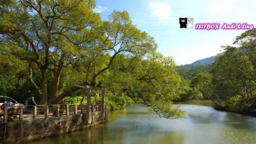 【新竹。橫山】橫山秘境。百年埤塘。三叉埤。客家文學大戲。寒夜續曲拍攝景點