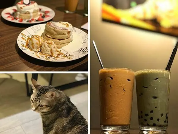 （新埔咖啡廳）11貓咪陪您作伴 板橋現做舒芙蕾下午茶-貓嘰咕咖啡｜板橋甜點｜新埔甜點｜貓咪餐廳