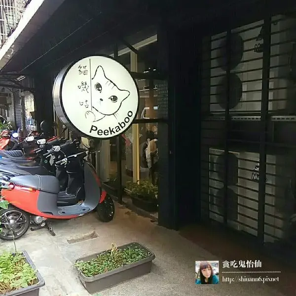 【新北板橋區】貓嘰咕。新埔捷運站│平價蔬食餐廳，內有貓星人陪你一起吃飯！適合姊妹淘聚會！