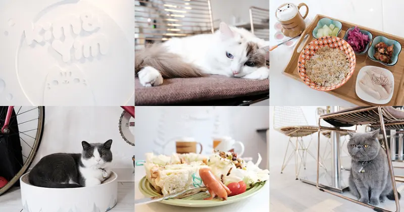 【台北】The Who Cafe 框影咖啡｜永康街咖啡廳｜立體貓貓拉花也太可愛了吧 - 桑分鐘熱度