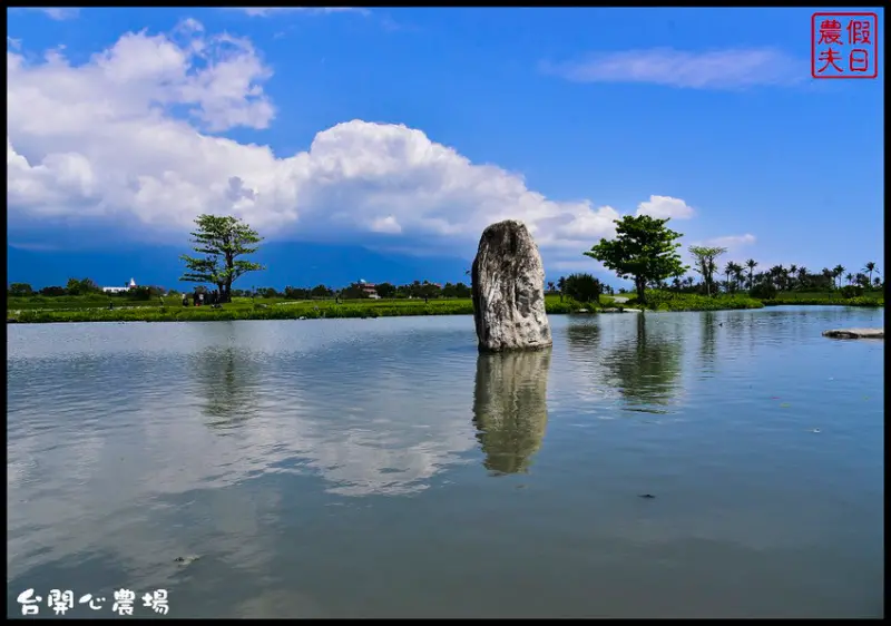 花蓮吉安 | 洄瀾灣開心農場〈台開心農場〉．寬闊的草原、漂亮的花兒、可愛的動物、美麗的生態池免費參觀/一日遊/日出/雲山水/水中央