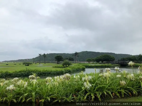 圓圓家出去玩-《花蓮景點》迴瀾灣開心農場（台開心農場）腹地寬廣，有漂亮孔雀還有大片花海的免費親子景點