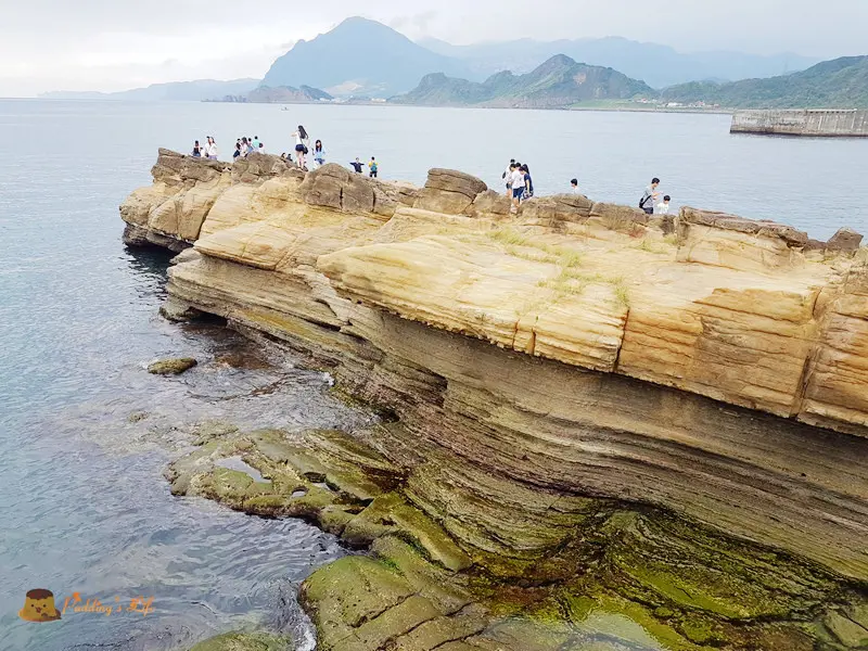 【基隆旅遊】八斗子車站輕旅《潮境公園》環保復育公園x飛天掃帚x鸚鵡螺溜滑梯