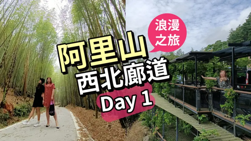 阿里山西北廊道地區三天兩夜小旅行｜茶與咖啡的邂逅．來場好姐妹的浪漫出遊吧～