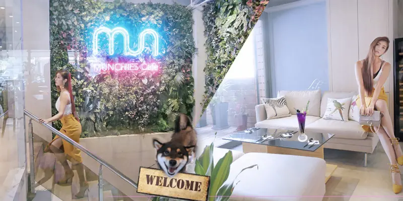 【台北美食】店狗Hunter來坐檯｜Munchies Café｜小巨蛋八德路巷內絕美西餐廳