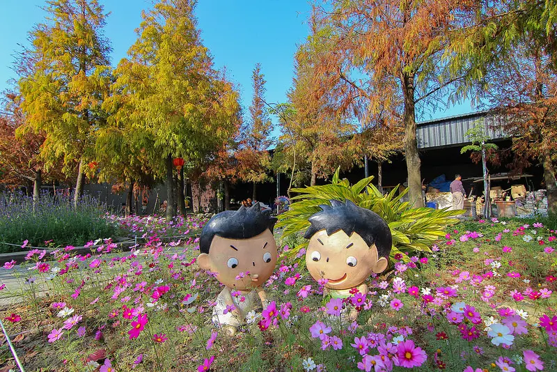 浪漫落羽松林搭配粉嫩花海，超美！嘉義親子放電景點：可愛小火車+可愛動物區+水上玻璃餐廳+親子彩繪DIY+兩層樓高喵咪+立體陶窯牆超可愛(空拍)