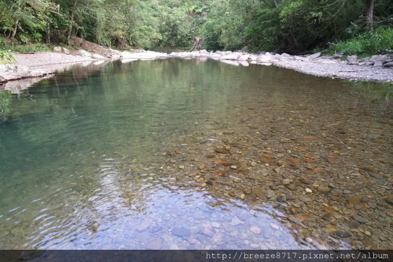 金瓜寮溪觀魚蕨類步道。溯溪｜小旅行【新北市坪林區】