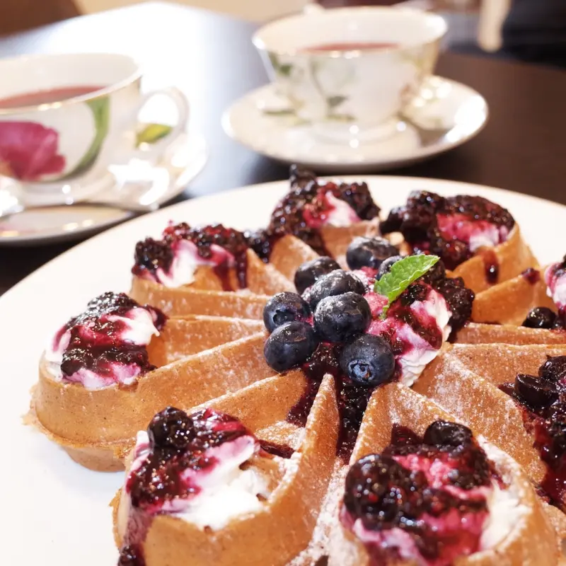 【好食分享】新竹竹北 寵物友善餐廳一個放鬆的小角落 貓爪咖啡 鋼彈同好會(好停車)