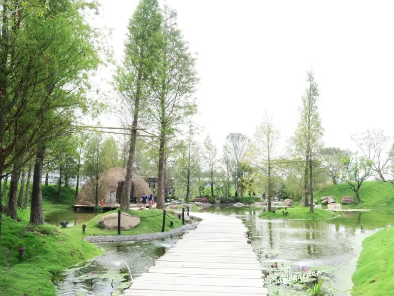 [玩/台中]惠宇秘境~自然共生小秘境。小橋、流水、落雨松、玻璃屋