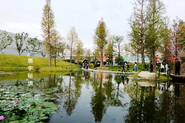 台中景點 ▶ 惠宇秘境-森青 ▶ 都市裡的水漾森林、城市內的小秘境 IG打卡、好拍