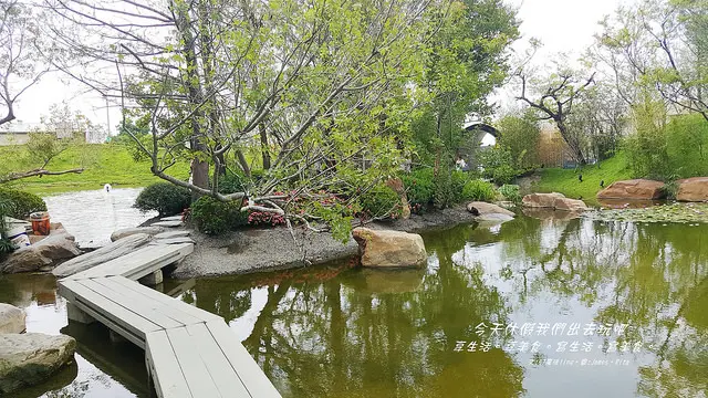 [台中⊙南屯]惠宇秘境。到秘境一探究竟-惠宇水漾森林。