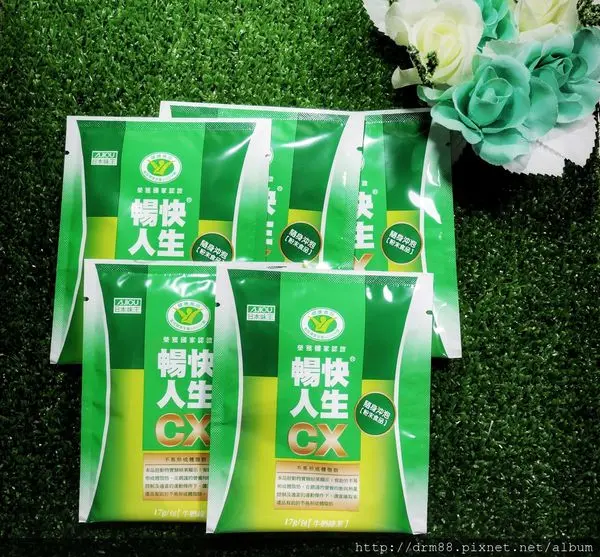 日本味王暢快人生/女孩們必備！ 健康飲料 / 沖泡式綠奶茶包/ 膳食纖維好飽足～