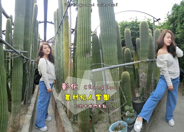 彰化|| 田尾 IG打卡熱門景點 沙漠綠洲藏身巷弄中 農村仙人掌園 沙漠仙境巨型仙人掌園 IG打卡祕境推薦  