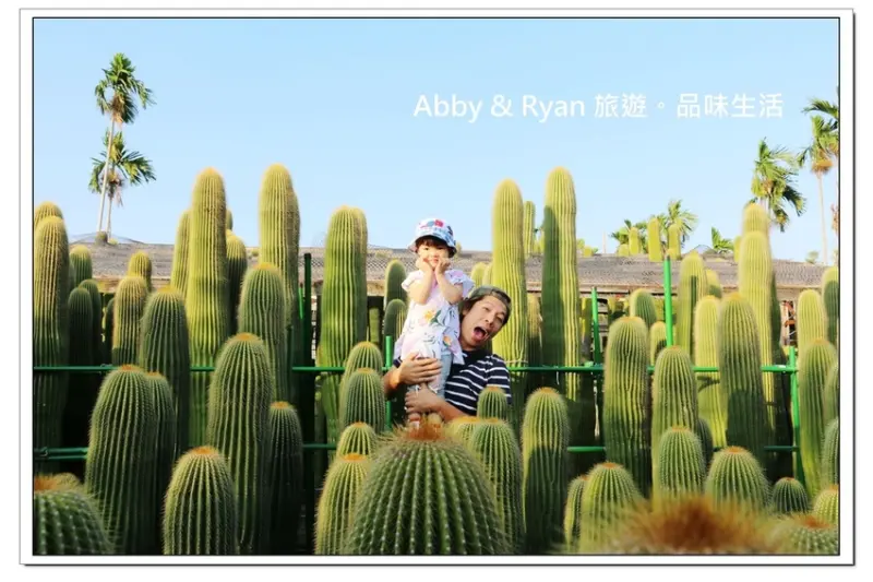 【彰化田尾景點】農村仙人掌園～巨大仙人掌。IG打卡景點！