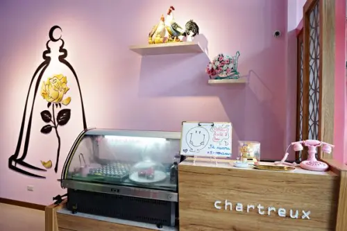 【卡爾特Chartreux】網美拍照看貓咪