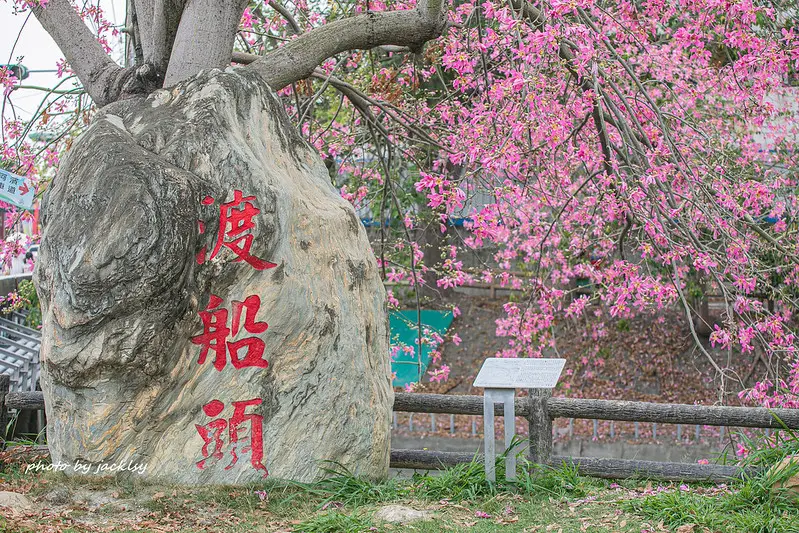200927彰化-美人樹景點(北斗河濱公園)