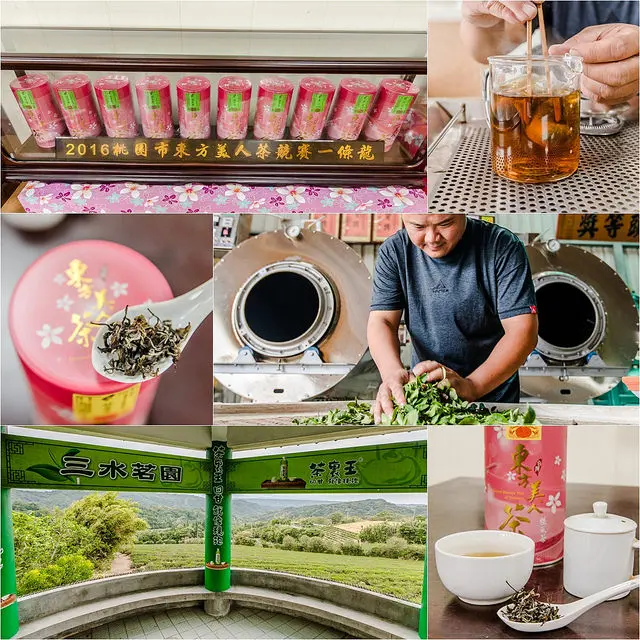 【好近 桃園龍潭】東方美人茶一條龍-「尚好龍泉茗茶」隱藏版桃園秘境休閒農場「心」體驗之二(茶裏王拍攝場地)