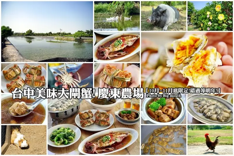 【台中清水】慶東農場美味大閘蟹!SGS檢驗合格10月~11月底限定，錯過等明年!