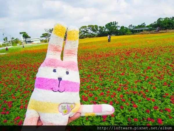 2017桃園花彩節 taoyuan flower festival 隨著秋冬的氣息來踏青吧~活動日期時間地點 楊梅 中壢 蘆竹 大溪 平鎮 龍潭展區主題整理!