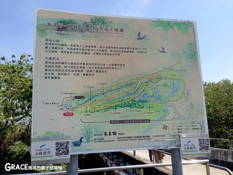 小小生態員，IG美照必拍如夢似幻的秘密景點-樹林鹿角溪人工濕地!